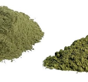 Green Vein Thai (Kilo) - Wholesale Pricing